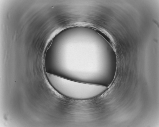 X0000094201381200710260903