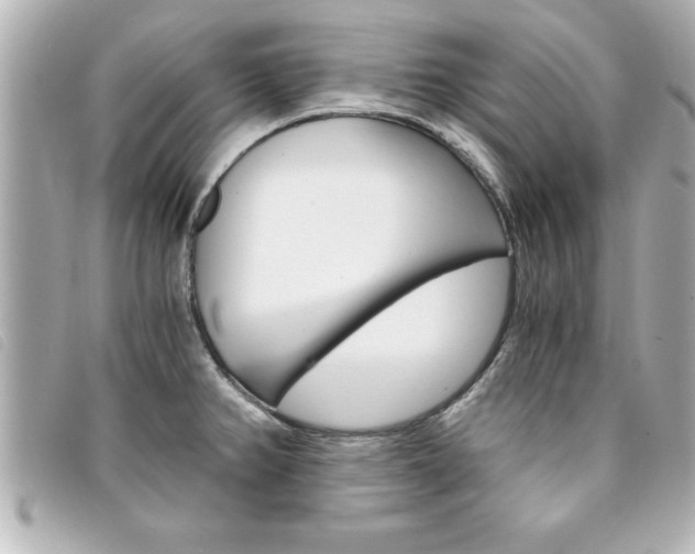 X0000094201382200710260903