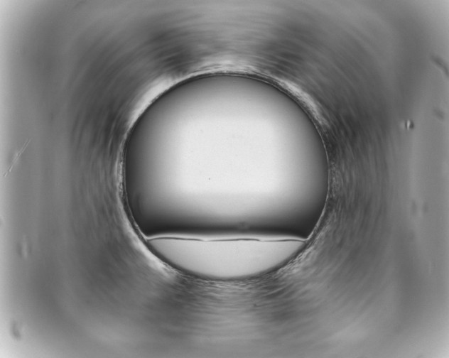 X0000094201383200710260903