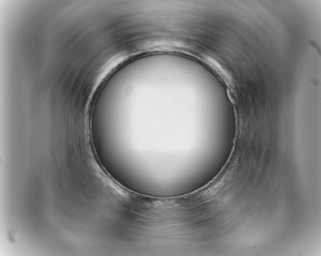 X0000094201384200710260903