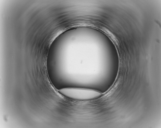X0000094201385200710260903