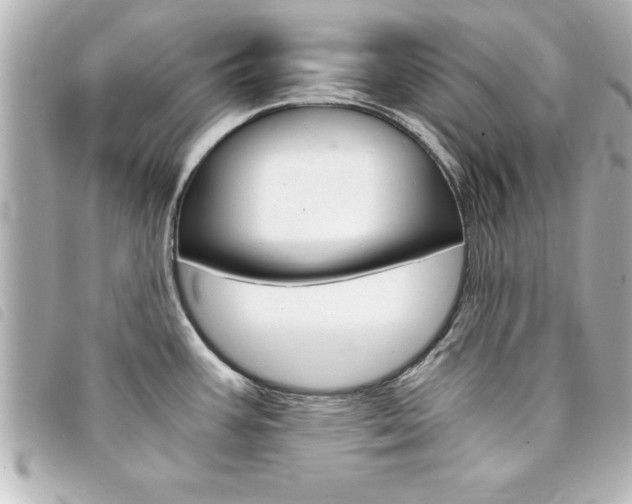 X0000094201387200710260903
