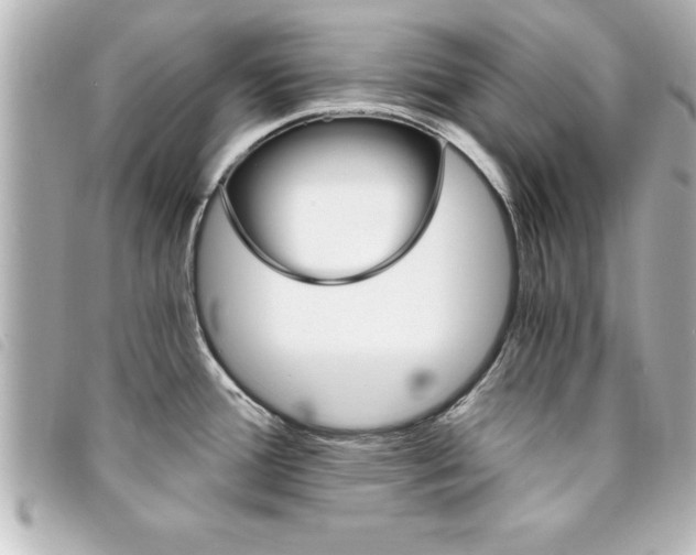 X0000094201388200710260903