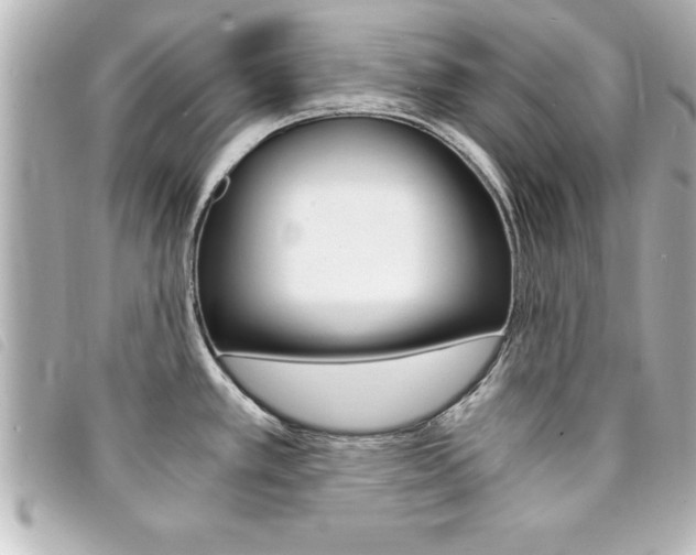 X0000094201389200710260903