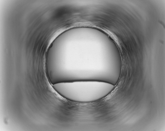X0000094201390200710260903