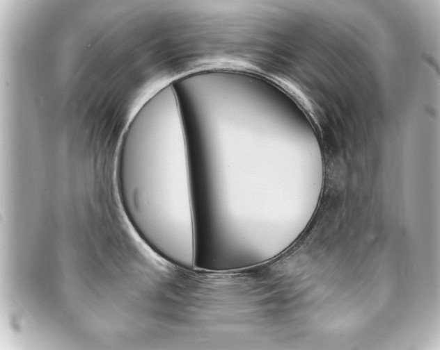 X0000094201391200710260903
