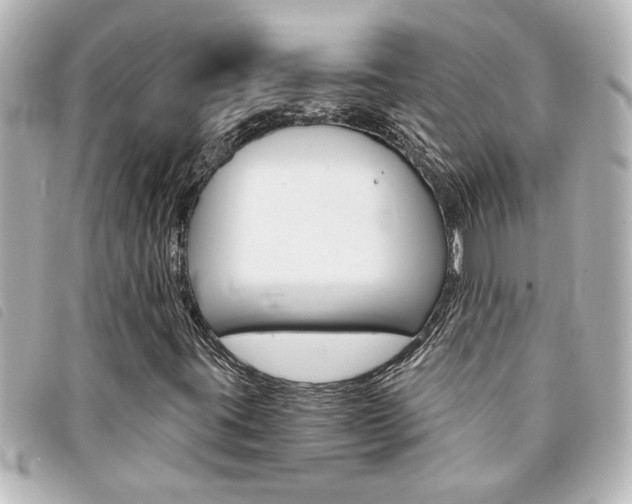 X0000094201395200710260902