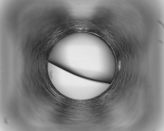 X0000094201396200710260902