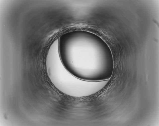 X0000094201398200710260902