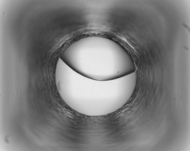 X0000094201399200710260902
