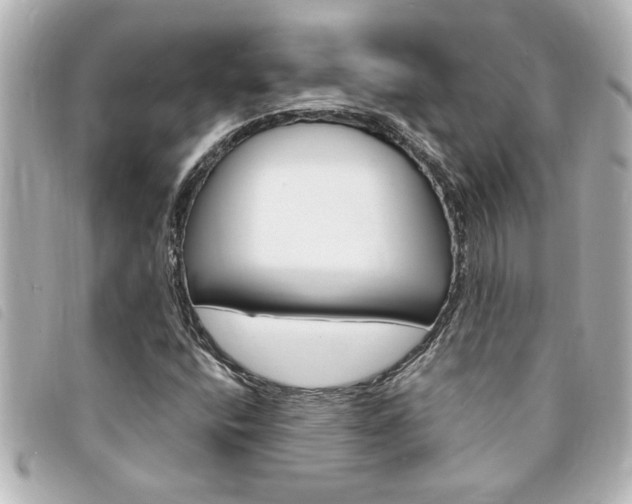 X0000094201400200710260902