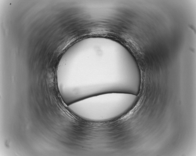 X0000094201401200710260902