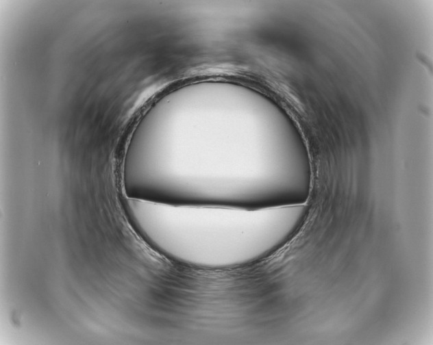 X0000094201404200710260902