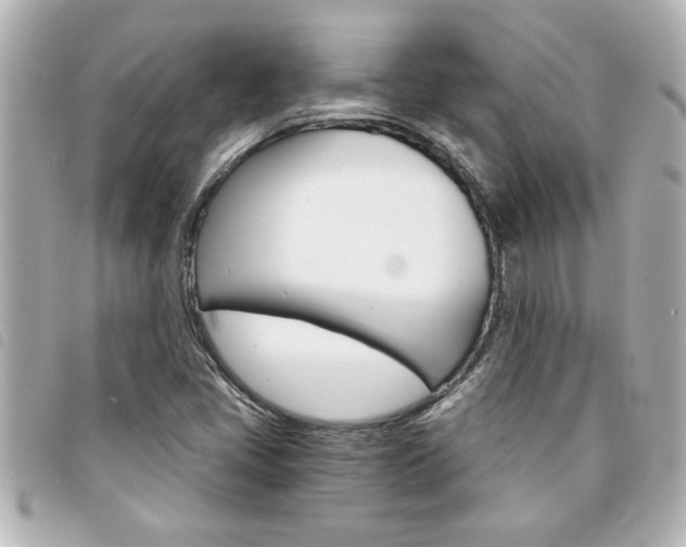 X0000094201405200710260902