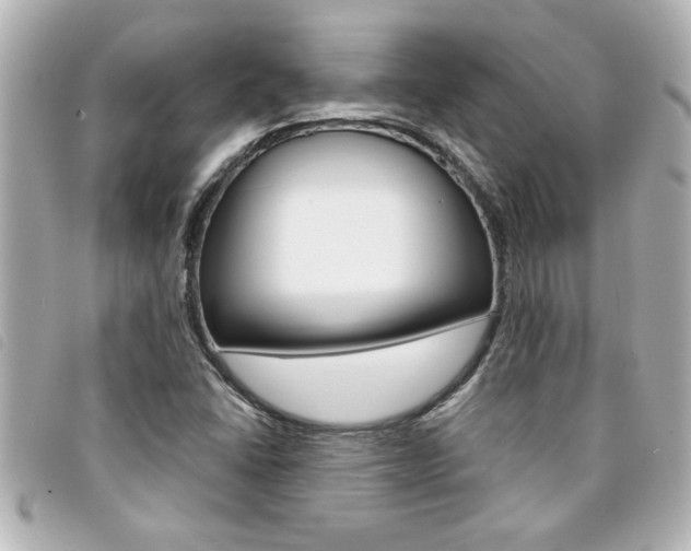 X0000094201406200710260902