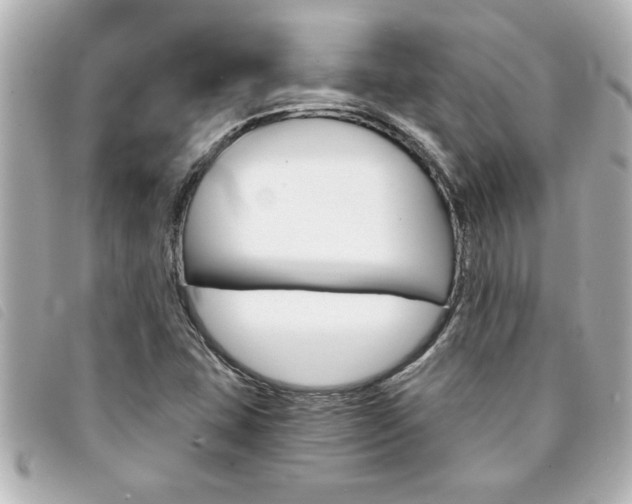 X0000094201407200710260903