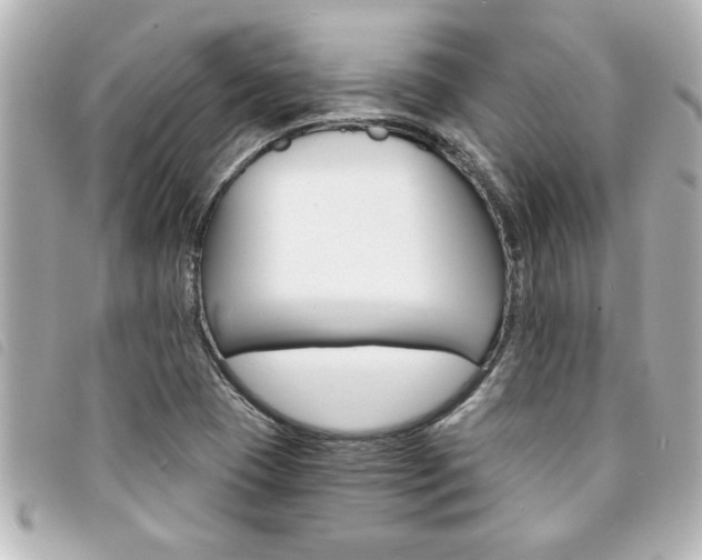 X0000094201409200710260903
