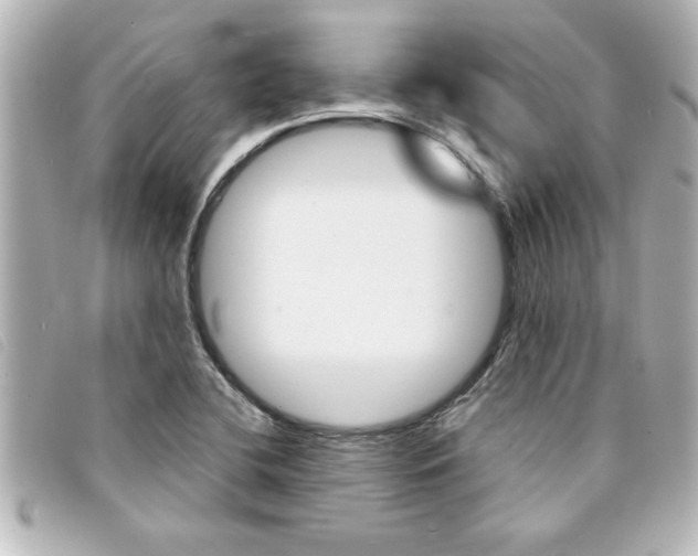 X0000094201412200710260903