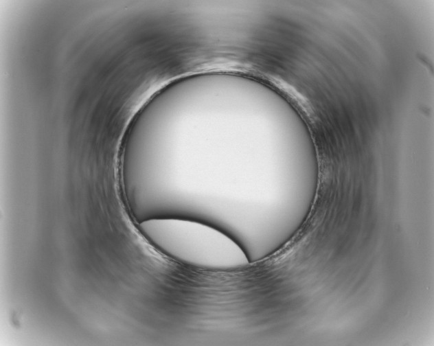 X0000094201423200710260903