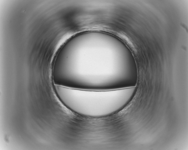 X0000094201424200710260903