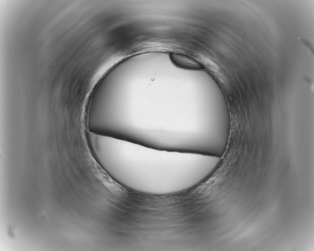 X0000094201427200710260903