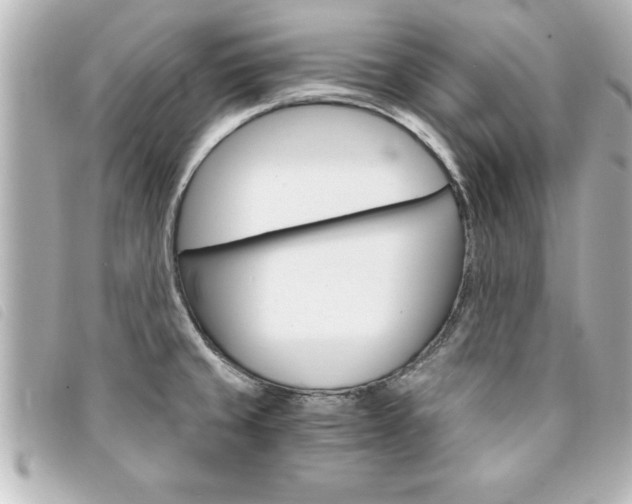 X0000094201429200710260903