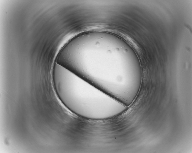 X0000094201432200710260903