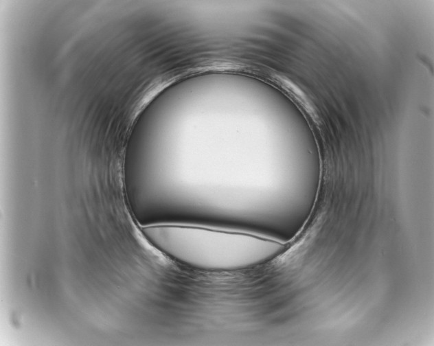 X0000094201433200710260903