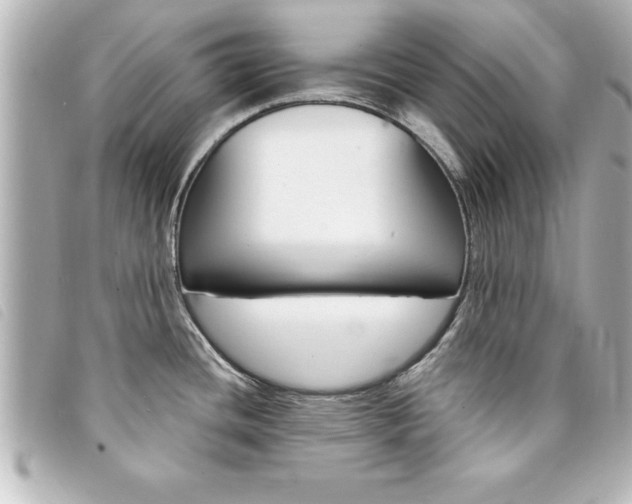 X0000094201436200710260903