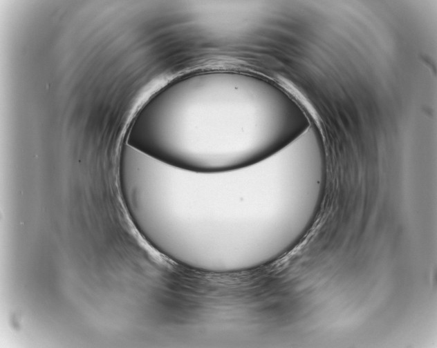 X0000094201437200710260903