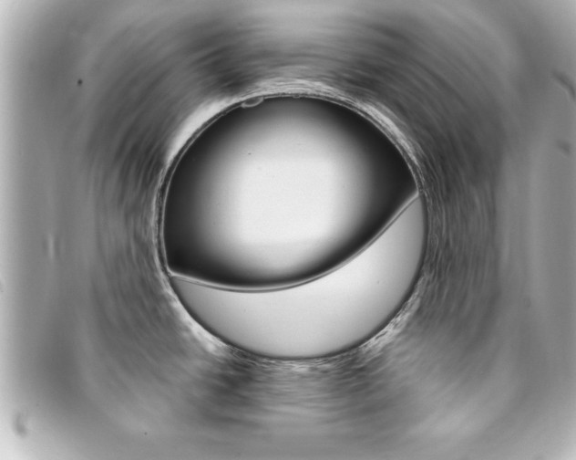 X0000094201438200710260903