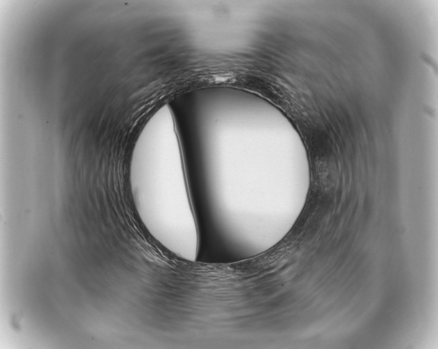 X0000094201442200710260902