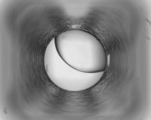 X0000094201443200710260902
