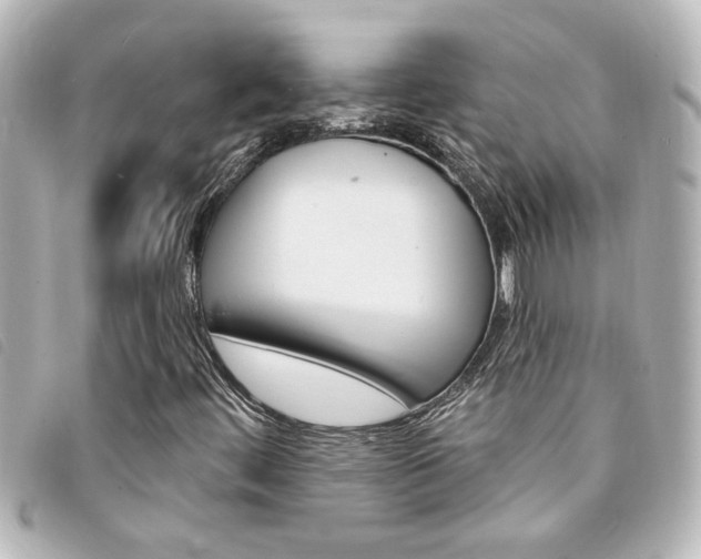 X0000094201444200710260902