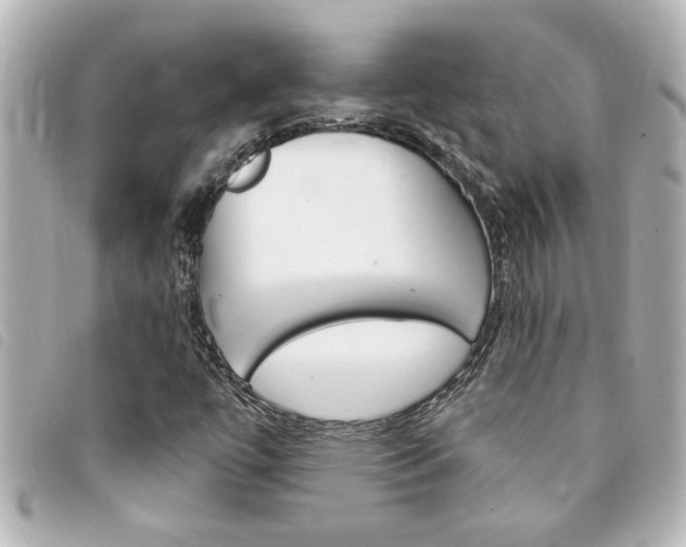 X0000094201447200710260902