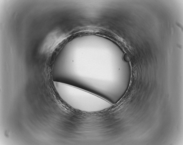 X0000094201448200710260902