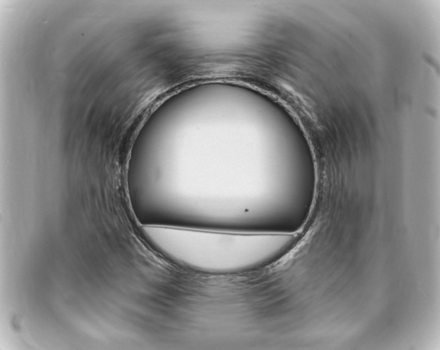 X0000094201449200710260902