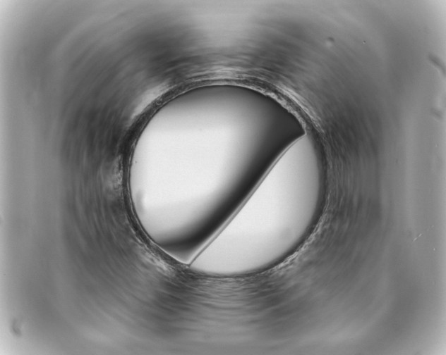X0000094201450200710260902