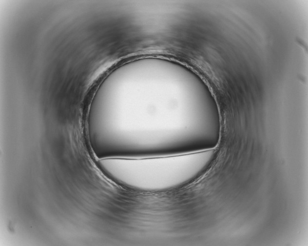 X0000094201452200710260902