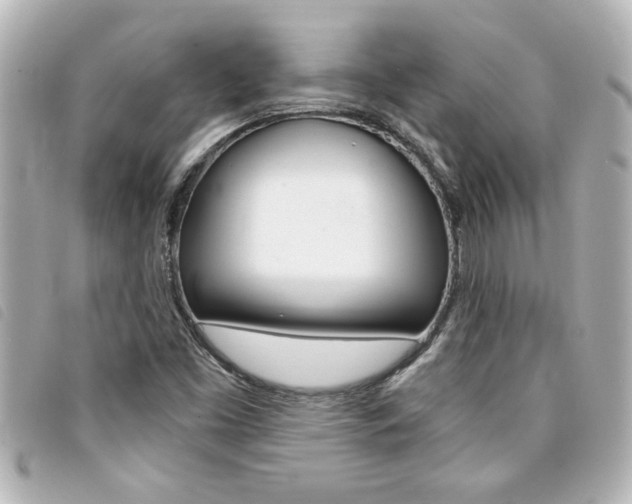 X0000094201453200710260902