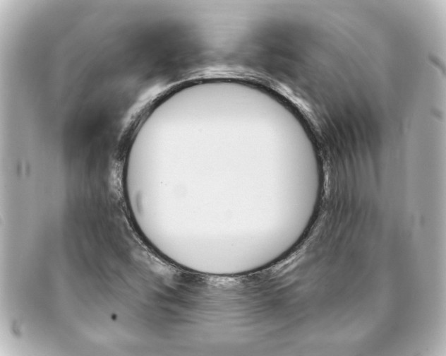 X0000094201454200710260902