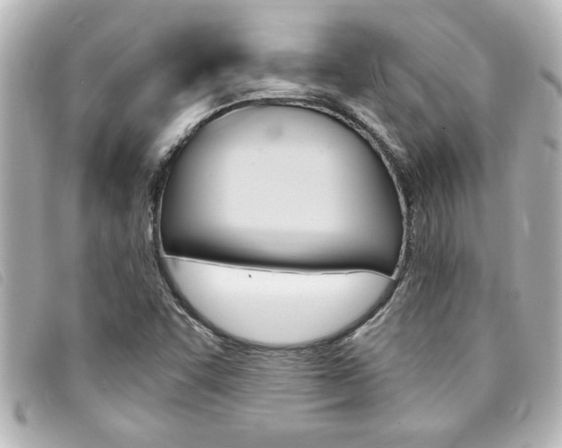 X0000094201455200710260902