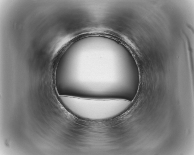X0000094201456200710260902