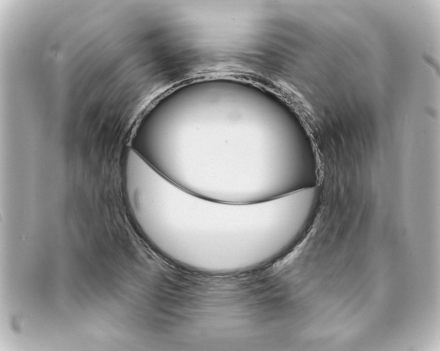 X0000094201457200710260902
