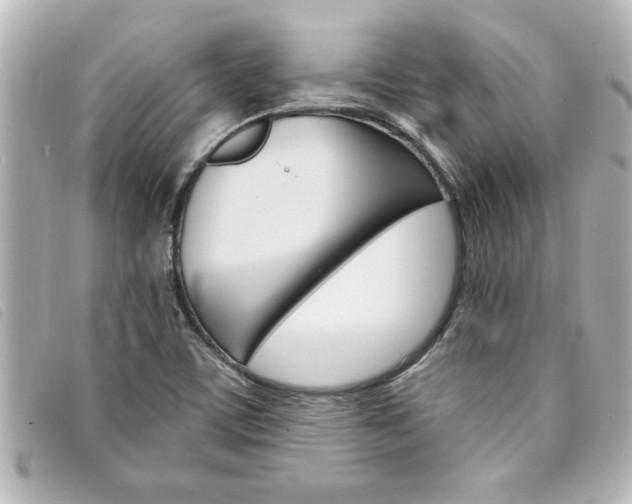 X0000094201459200710260902