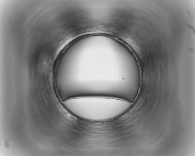 X0000094201460200710260902