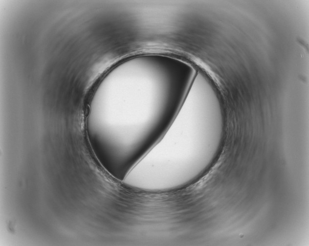 X0000094201461200710260902