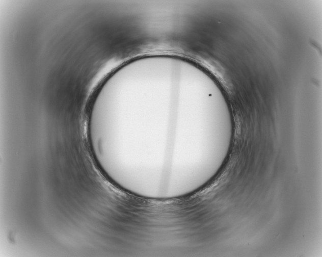 X0000094201462200710260902