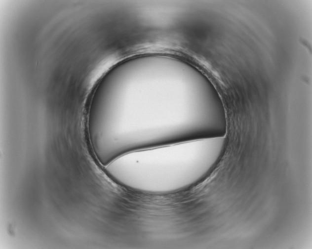 X0000094201463200710260902