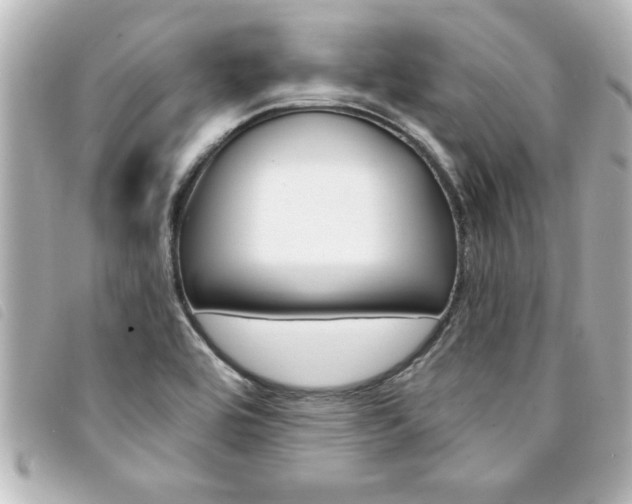 X0000094201464200710260902
